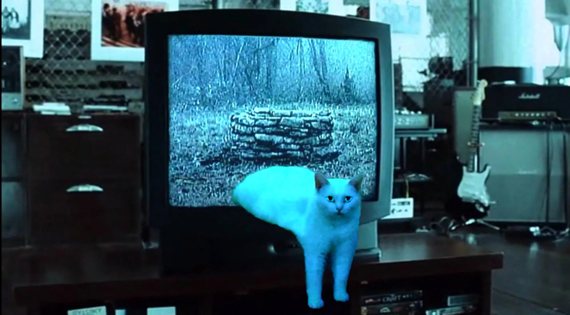 Кот 7 дней. Кот на телевизоре. кошачий телевизор. котик и телевизор. кот телевизор мем.