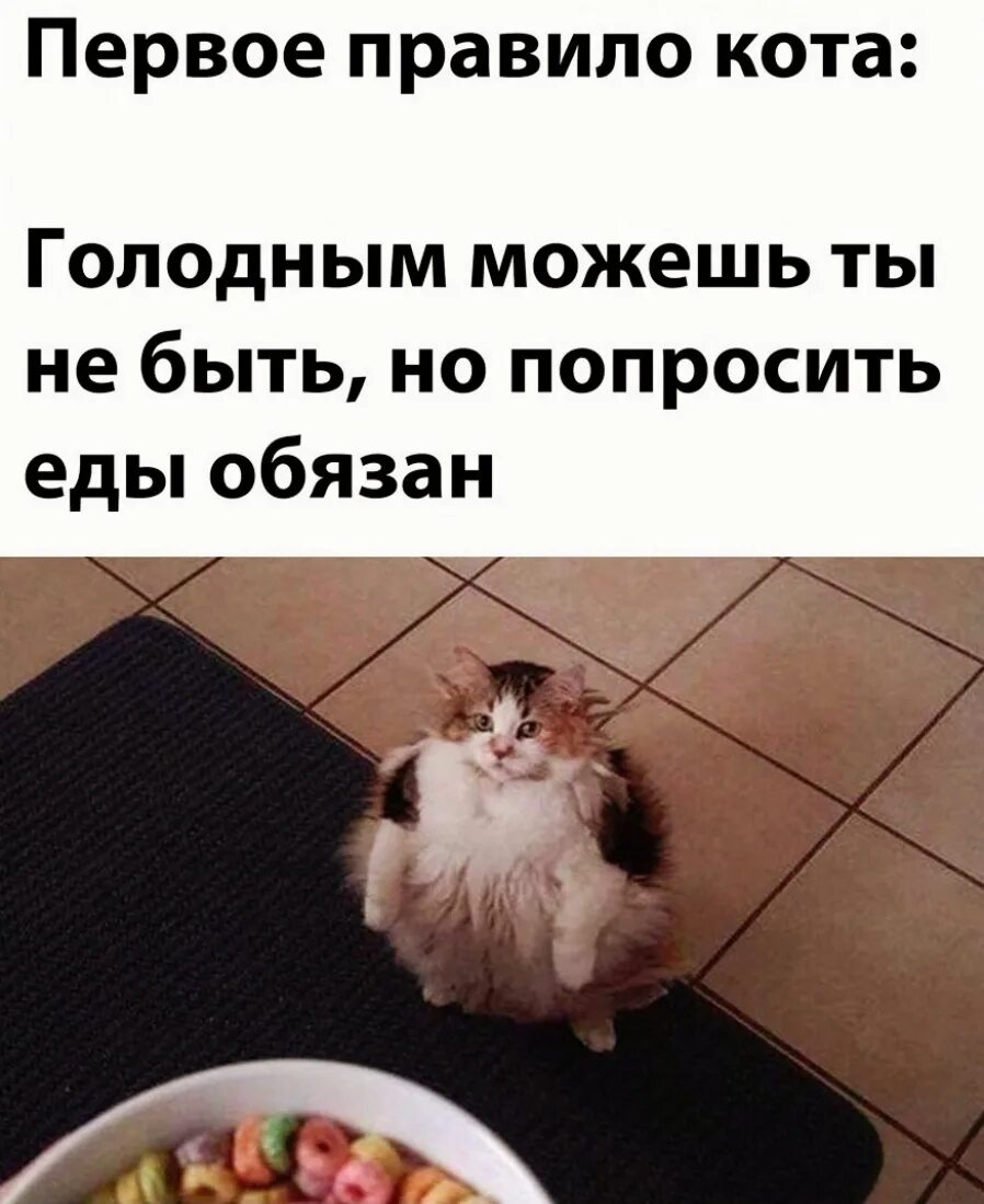 Просьба бывший