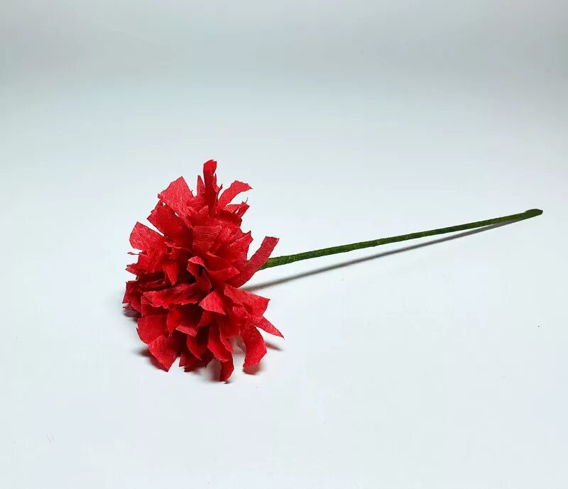 Гвоздики из креповой бумаги. Гвоздика из бумаги своими. Гвоздика своими руками из гофрированной бумаги пошагово для детей. Цветы гвоздики из салфеток. Цветы гвоздики из бумаги своими руками.