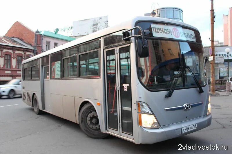 Транспорт автобусы владивосток. Корейские автобусы. Владивостокский автобус. Транспорт Владивосток. Go2bus Владивосток.