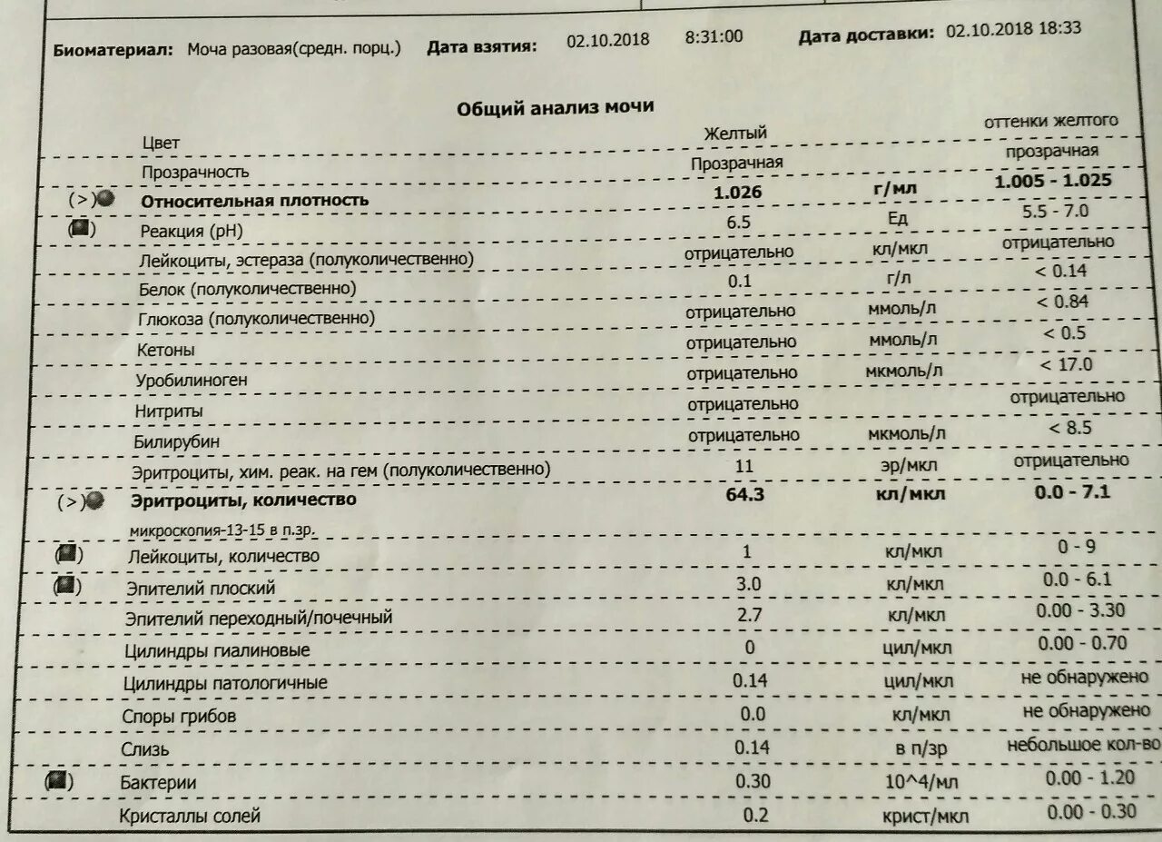 Сколько эритроцитов в моче