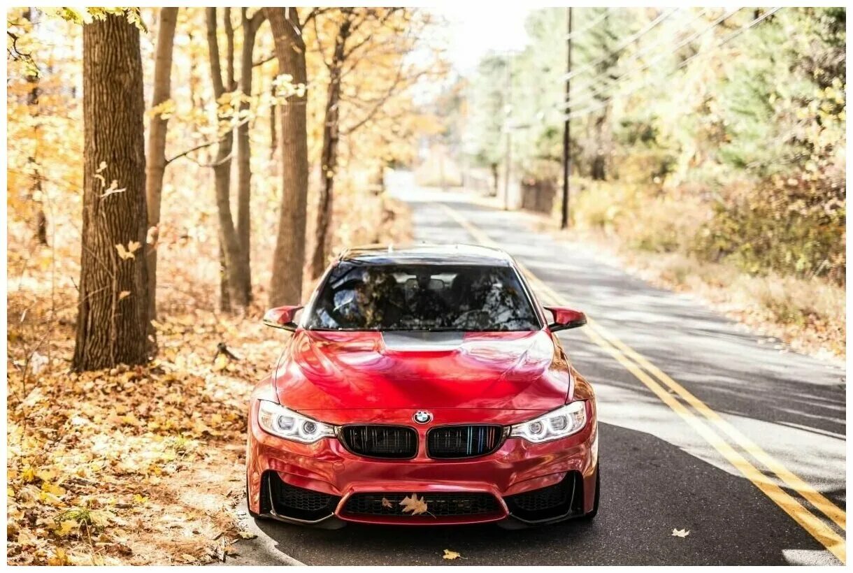 Car f 3. БМВ m4 Red. BMW f82 Red. BMW m4 красная. БМВ х6 красная.