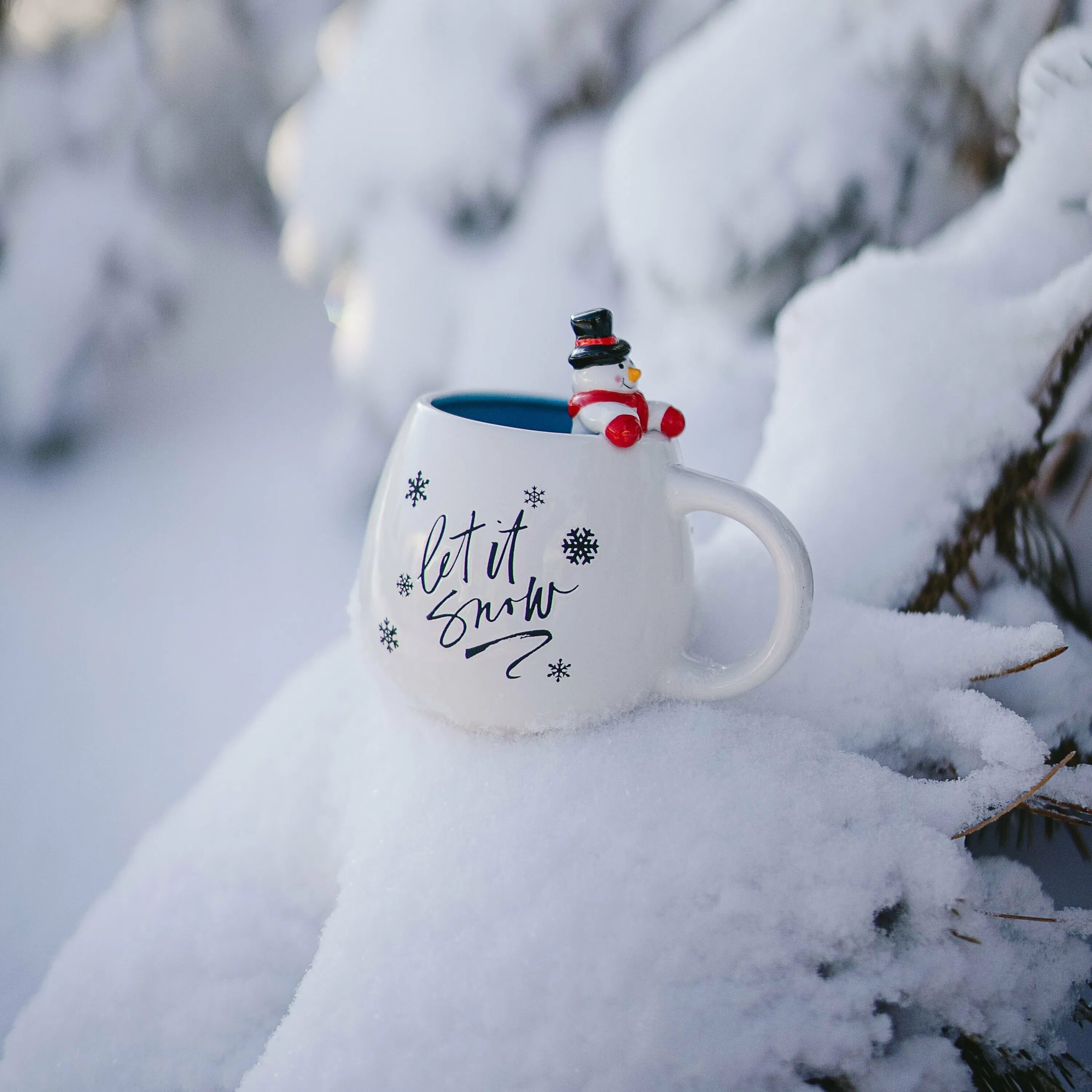 Oh ... I love snow Snow animals, Majestic animals, Cats and kittens