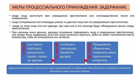 Иные меры процессуального принуждения это
