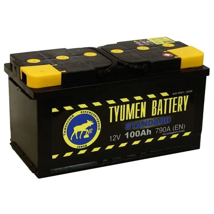 Тюмень батарея купить. Аккумулятор 6ст-190 Tyumen Battery. Tyumen Battery Standard 6ст-100 о.п.. АКБ Tyumen Battery Standard 6ст-190. Аккумулятор Tyumen Battery 6ст-100l Standard п.п..