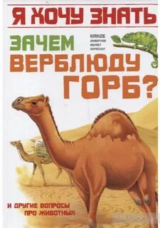 Функция горба верблюда