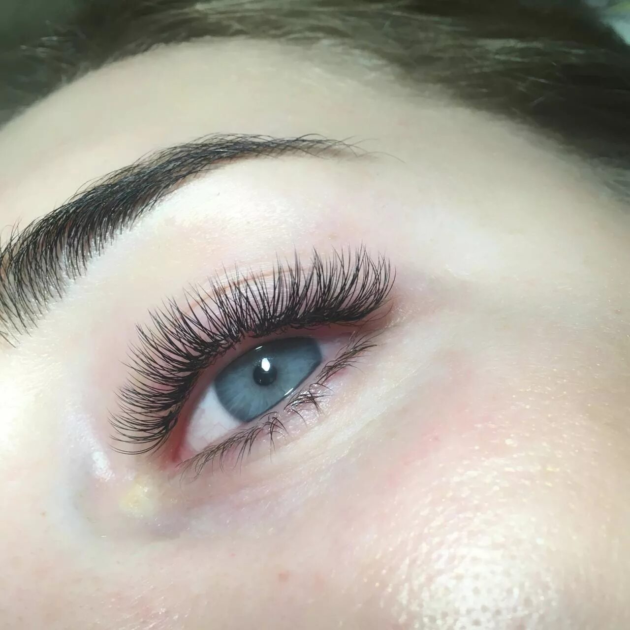 Как выглядит 1 5 д. Ресницы 2д классика 1д. Ресницы классика 5д. Как выглядит 1 5 д. Наращивание ресниц классика 1d.