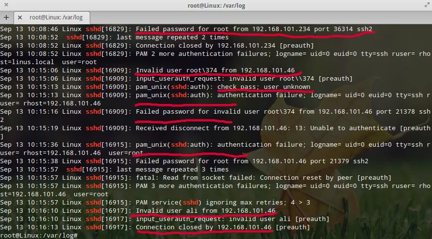Логи линукс. Логи ошибок линукс. SSH Linux. Root Linux. Fatal password authentication failed for user