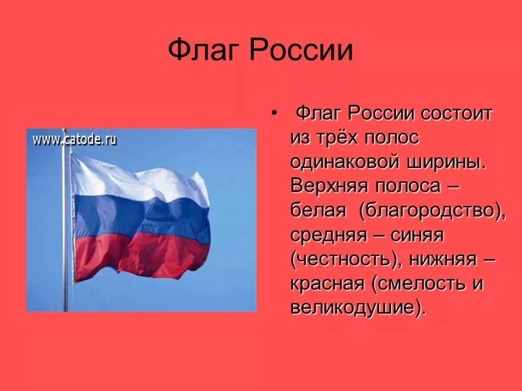 Сообщение о флаге россии кратко