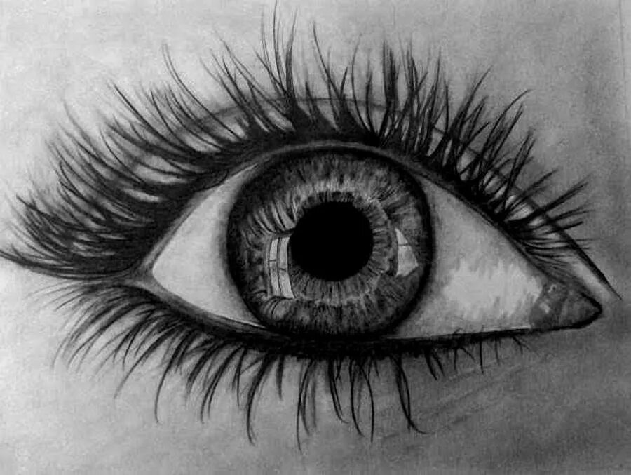 Как выглядит нарисованный глаз realistic things to draw for beginners Google Search Cat eyes drawing, Realist
