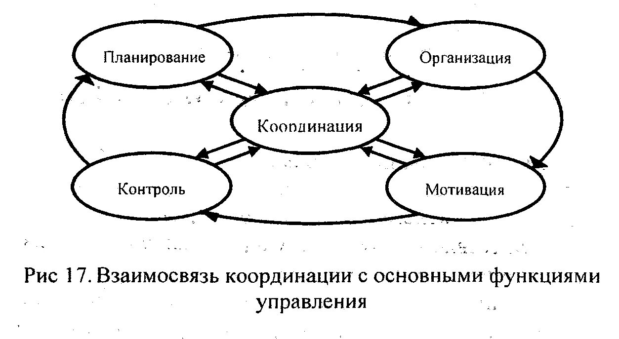 Основные функции менеджмента схема. Координация как функция управления. Основные задачи и аспекты.. Схема взаимосвязи общих функций управления. Схема взаимодействия функций менеджмента..