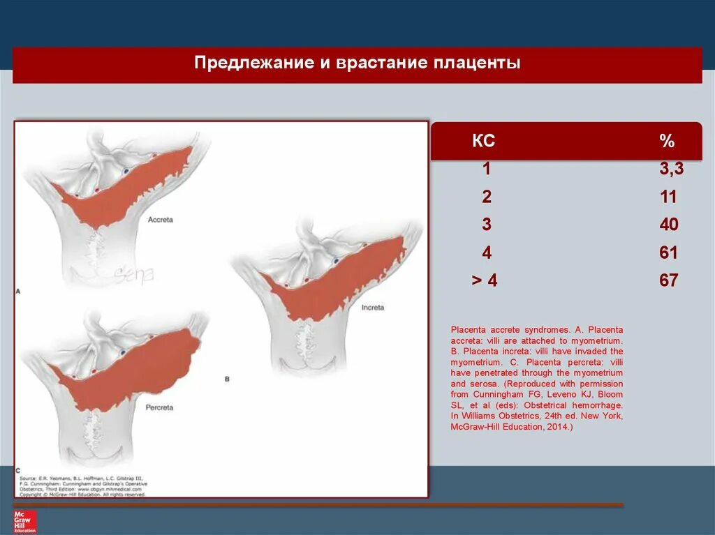 Врастание плаценты в матку. Предлежание плаценты с врастанием. Вращение плаценты в рубец. Врастание плаценты патогенез. Плацента на рубце матки