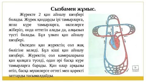 Гейлер кеңесінің мүшесі