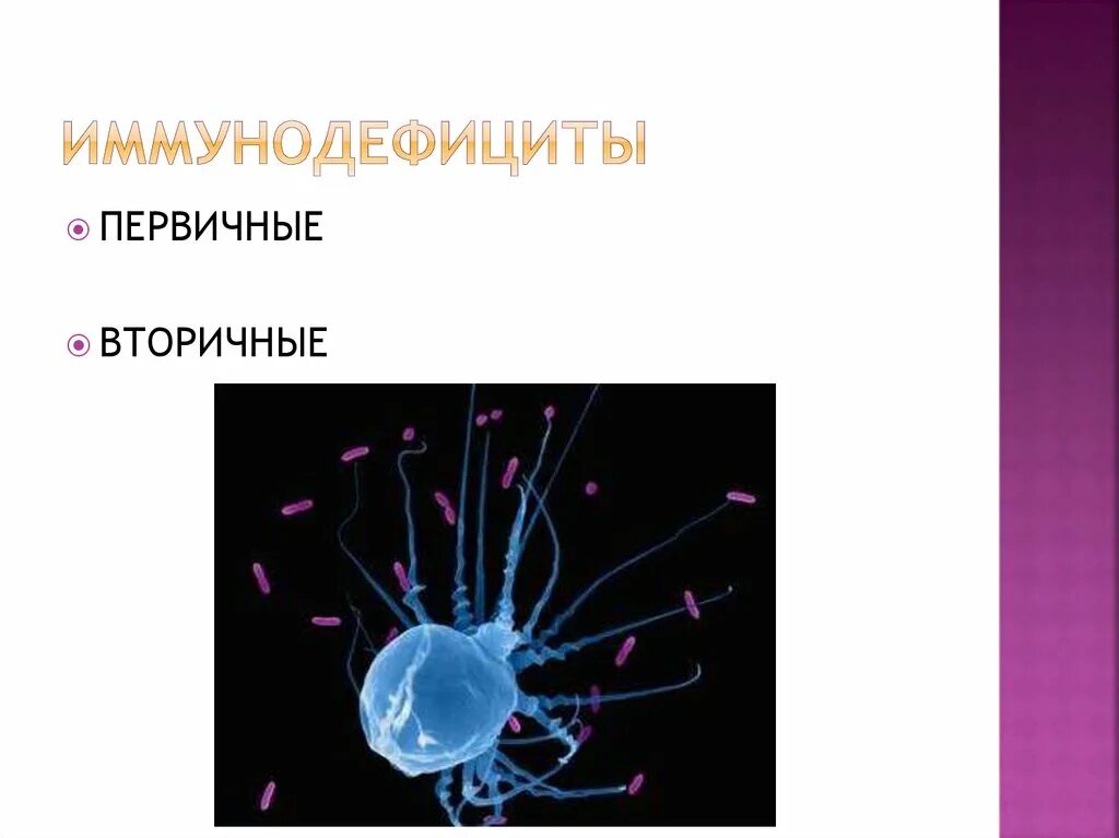 Первичные и вторичные иммунодефициты. Первичные и вторичные иммунодефициты микробиология. Виды первичных и вторичных иммунодефицитов. Вторичные иммунодефицитные состояния у детей.