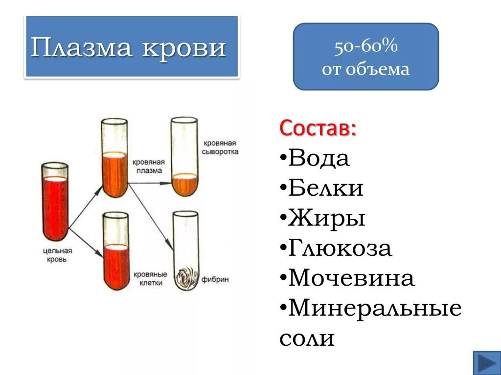 Плазма это кровь. Состав плазмы и сыворотки крови. Большую часть плазмы крови составляют. В состав плазмы крови человека входит сыворотка. Состав плазмы крови КРС.