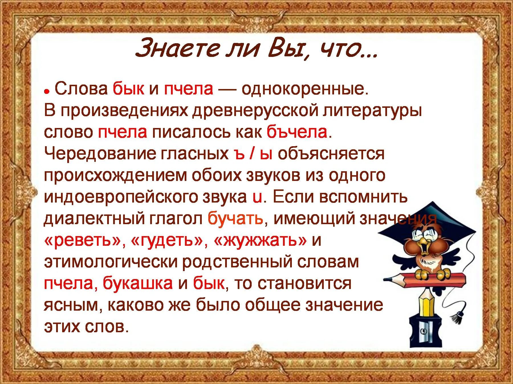 Занимательный русский язык 7. Занимательный русский язык. Занимательный русский язык презентация. Интересное о русском языке. Доклад на тему занимательный русский язык.