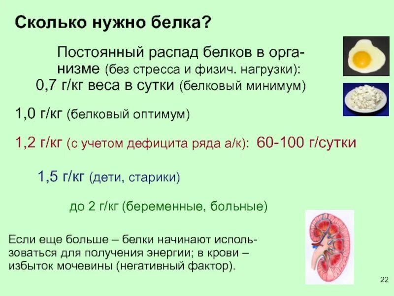 Сколько белка в перепелином белке. Сколько нужно белка. Белковый минимум и белковый Оптимум. Сколько нужно есть белка. Сколько надо есть белка в день.