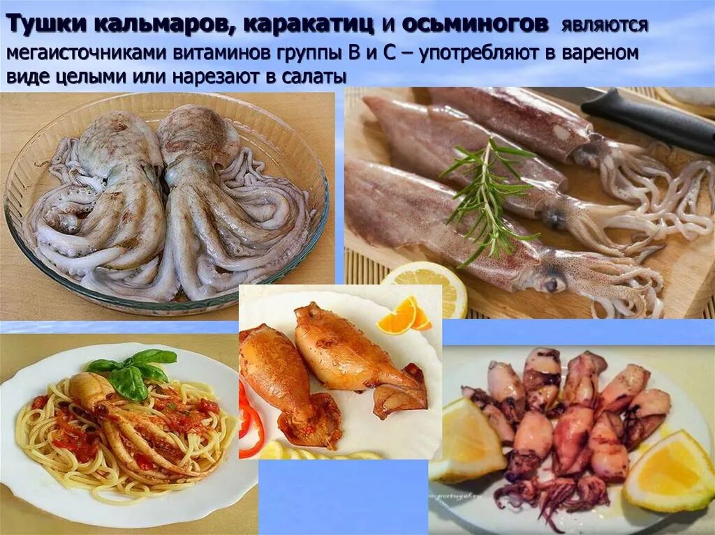 Кальмар белок на 100 грамм. Морепродукты презентация. Кальмар микроэлементы. Кальмар витамины. Кальмар пищевая ценность.