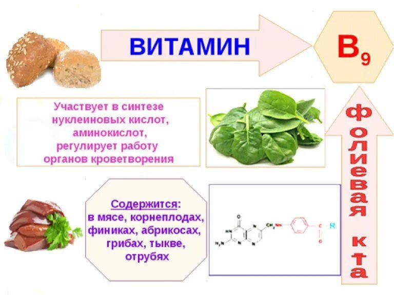 Фолиевая кислота с чем нельзя. Фолиевая кислота витамин в9. Витамины группы б9. Витамин b9 роль в организме. Витамин в9 функции.