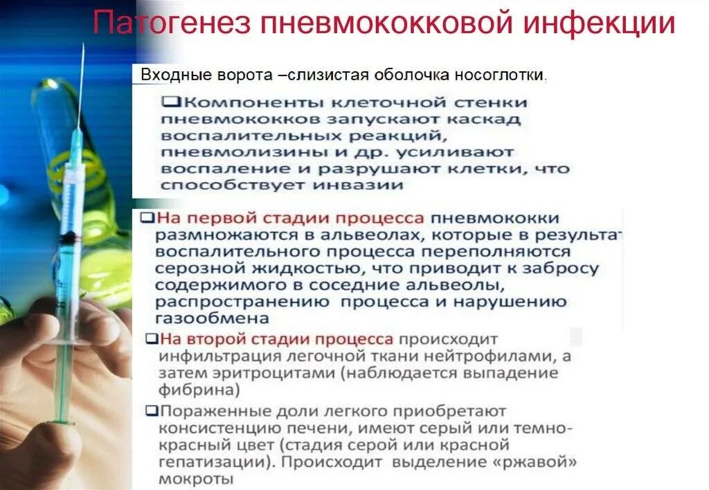 Патогенез пневмококковой инфекции. Прививка от пневмококка ревакцинация. Показания для пневмококковой вакцинации. Вакцинация от пневмококка схема. Пневмококк сколько прививок