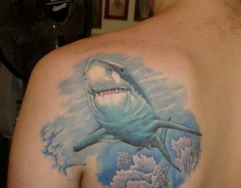 Тату акула биомеханика. Тату акула. Тату акула. Что значит акула. Тату акула на руке.