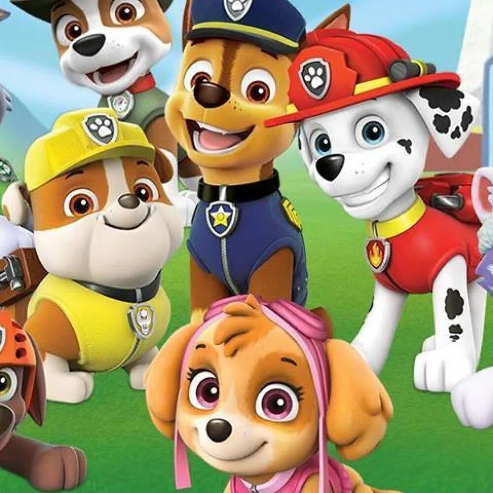 Песню из мультика щенячий. Щенячий патруль. щенки спасатели. paw patrol фон.
