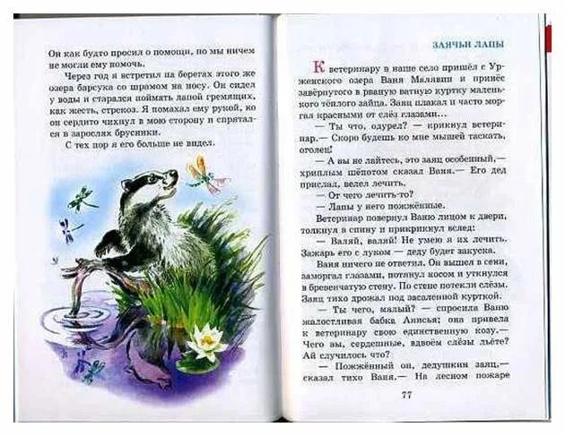 Паустовский о животных 3 класс. Рассказы о природе Паустовский Скребицкий Ушинский Бианки. Паустовский, Бианки, Ушинский: рассказы о природе. Паустовский рассказы о природе 3 класс. Произведение Константина Паустовского о природе.