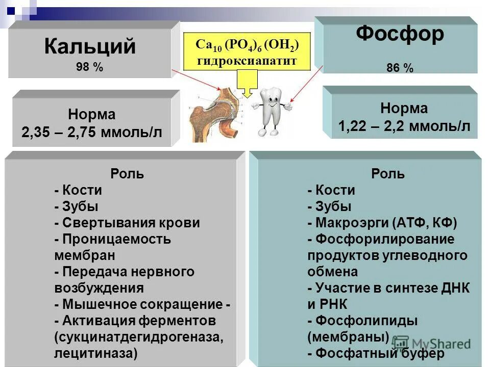 Кальций в куриных костях. Норма фосфора в организме. Норма кальция и фосфора в крови. Норма кальция и фосфора. Нормальные показатели фосфора и кальция в сыворотке крови..