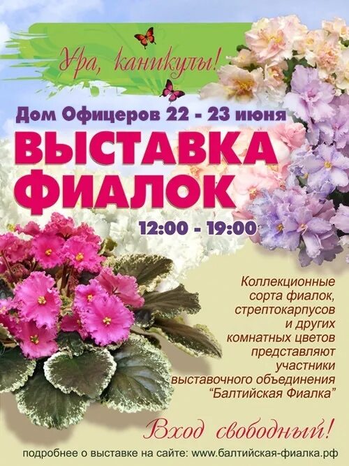 Выставка фиалок в спб. Выставка фиалок в смоленске 2022. Невский дом фиалки в санкт-петербурге. Дом фиалки на пятницкой выставка. Невский дом фиалки.