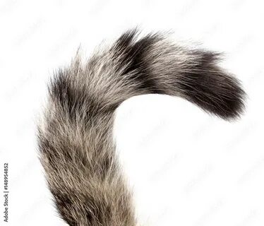But tail