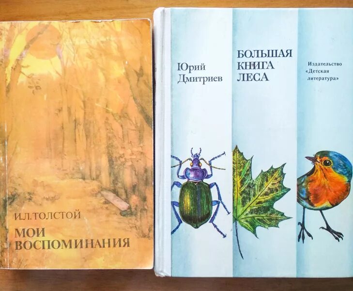 Дмитриев читать. Ю Дмитриев большая книга леса. Дмитриев Юрий Дмитриевич большая книга леса. Большая книга леса Юрий Дмитриев 1974. Юрий Дмитриев большая книга леса читать.