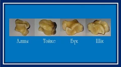 Құмар жесірлер