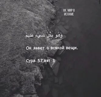 Всякая вещь хороша на своем месте