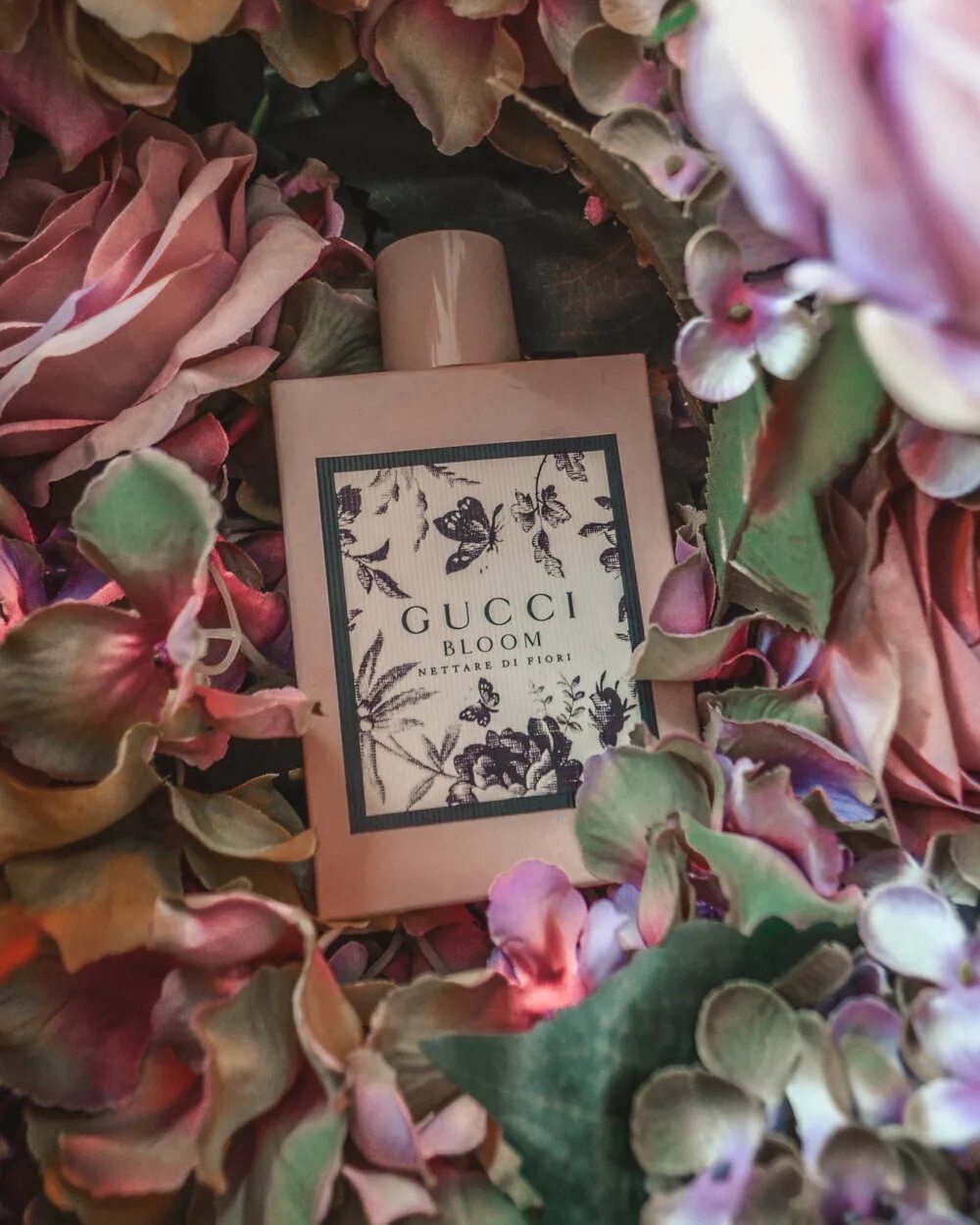 Bloom nettare di fiori. Bloom nettare di fiori