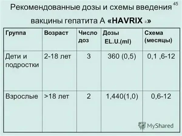 Гепатит вакцинация график