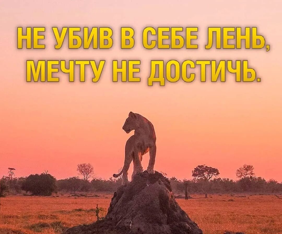 Остаются не достигнутыми