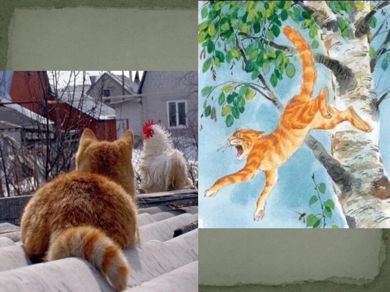 Кот ворюга старшая группа. Паустовский к. "кот-ворюга". Мнемотаблица кот ворюга. Паустовский кот ворюга иллюстрации. Портрет кота ворюги.
