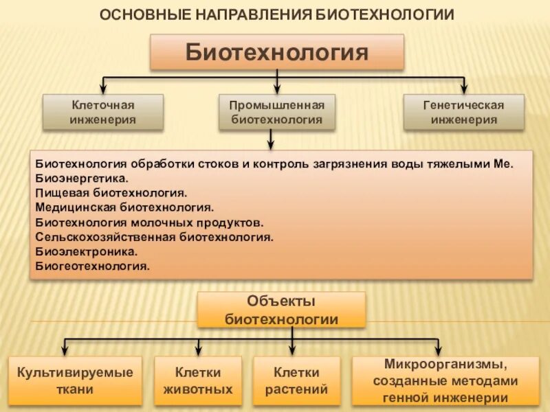 Перечислите методы биотехнологии. Объекты биотехнологии. Основные объекты биотехнологии. Направления биотехнологии. Биотехнология и ее направления.