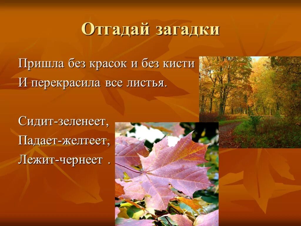 Пришла без красок. Презентация осень. Презентация краски осени. Тема для презентации осенние листья. Доклад на тему осень.