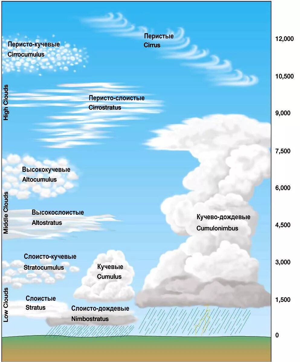 Высота облаков погода. Облака бывают Кучевые перистые и. Виды облаков. Абак виды. Виды облаков схема.