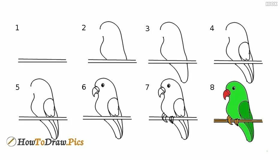 Поэтапно объяснение. Поэтапное рисование волнистого попугая. Рисунок схема волнистого попугая. Пошаговое рисование волнистого попугая. Лёгкие рисунки попугая.
