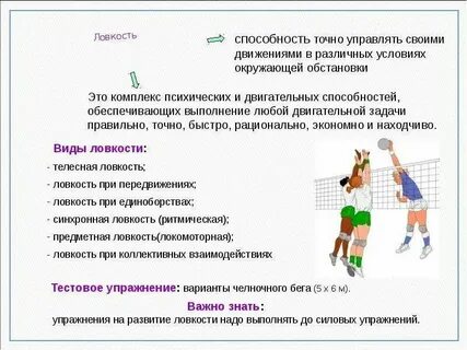 Упражнений на развитие основных физических качеств