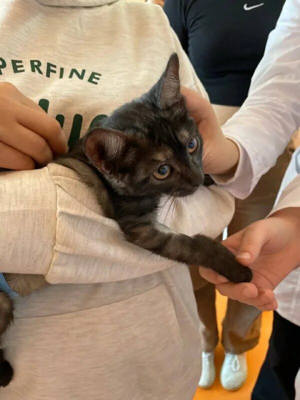 дорога домой муром. дорога домой картинки. дорога домой муром. дорога домой муром.