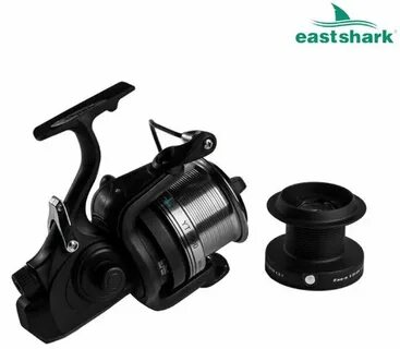 Eastshark