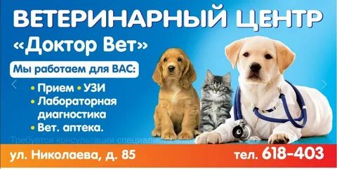 Доктор вет рязань новоселов