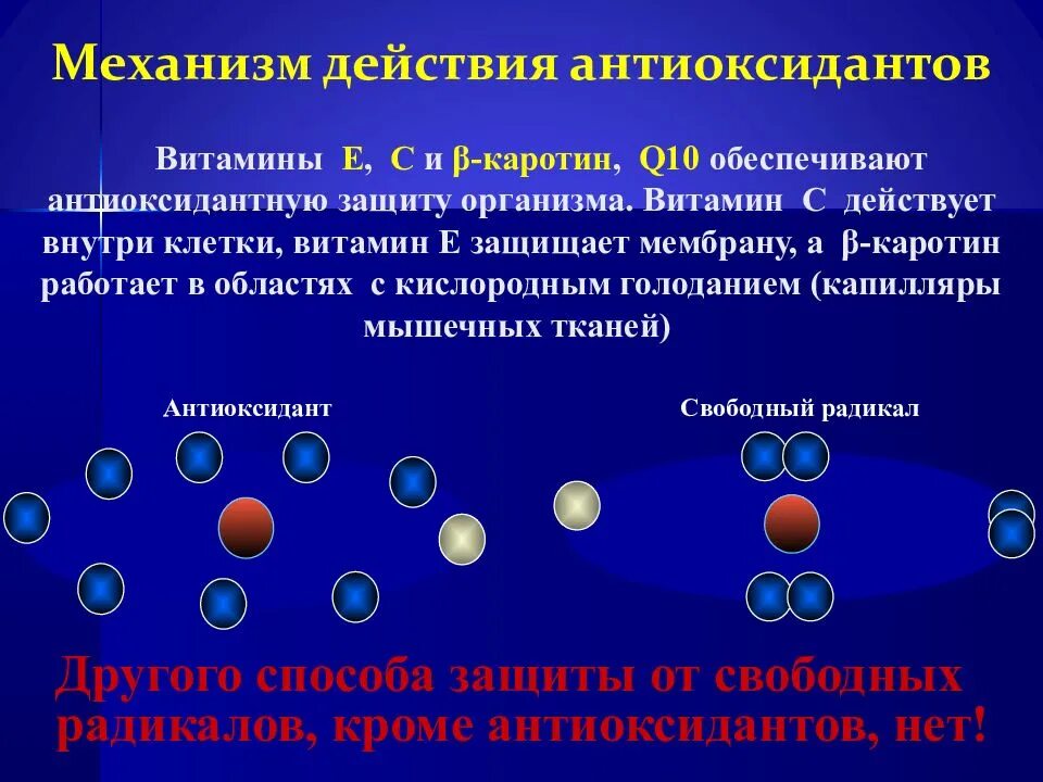 Антиоксидантные ферменты. Классификация антиоксидантов. Механизм действия витаминов. Механизм действия антиоксидантов. Механизм антиоксидантного действия витамина с.