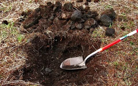 Digging 4