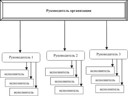 Виды организационных принципов