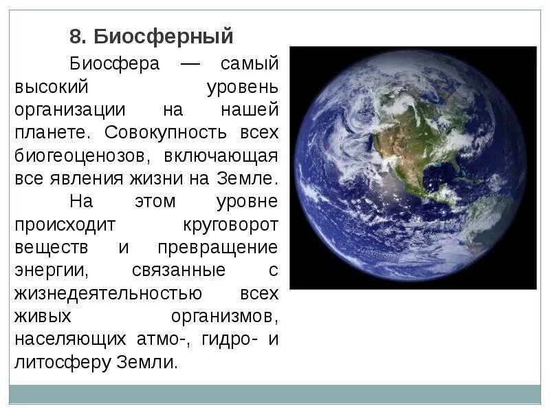 Биосферный уровень общая характеристика. Биосферный уровень жизни. Биосферный уровень организации. Биосферный уровень живой материи. Биосферный уровень организации жизни.