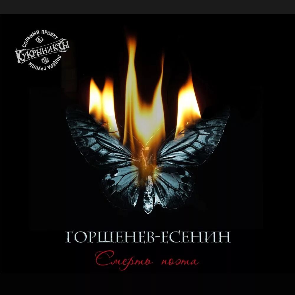 Кукрыниксы аккорды. Кукрыниксы есенин. Кукрыниксы есенин аккорды. Кукрыниксы есенин текст. Есенин на виниле.